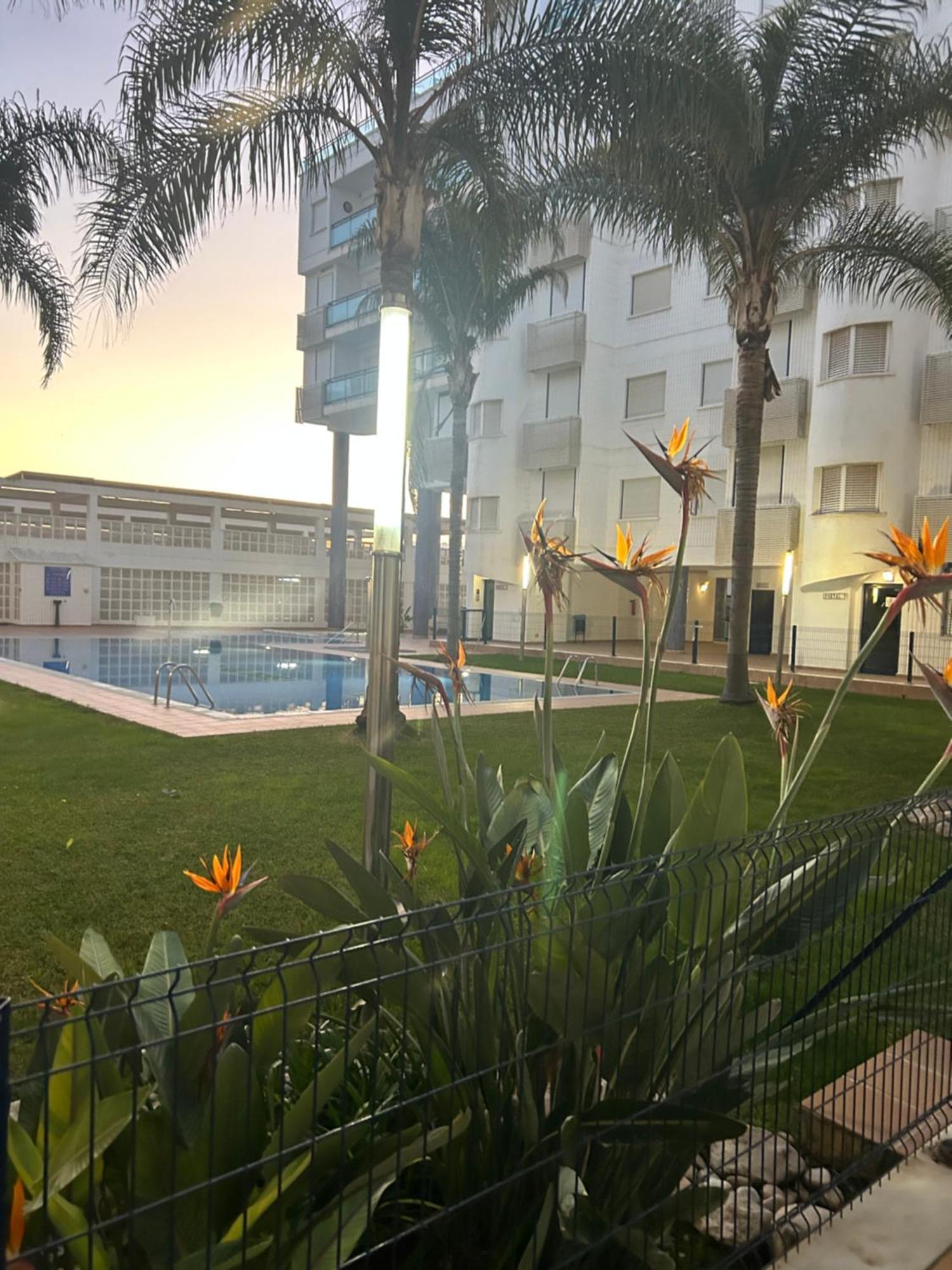 Sunny Apartment دياموز المظهر الخارجي الصورة